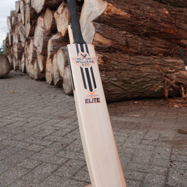 Elite grade willow