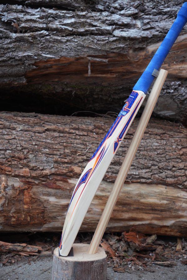 🔥 NEW Mid-High Middle – Elite Dutch Willow – 2lb 12 oz - Image 2