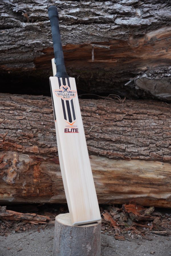 🔥 NEW Mid-High Middle – Elite Dutch Willow – 2lb 10.5oz