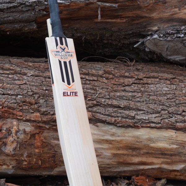 🔥 NEW Mid-High Middle – Elite Dutch Willow – 2lb 10oz