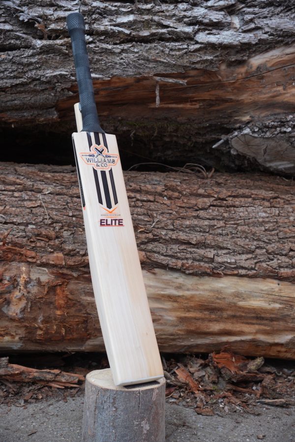 🔥 NEW Mid-High Middle – Elite Dutch Willow – 2lb 10oz