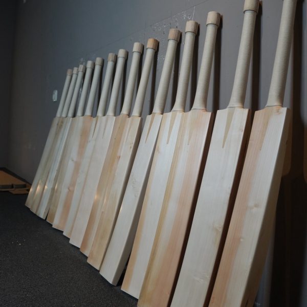 “UGLY DUCKLING “– BEAUTIFUL PERFORMANCE BATS