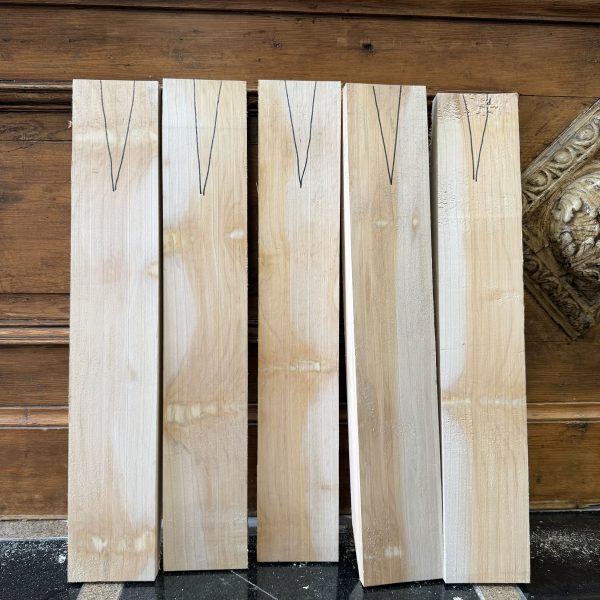 Dutch Willow Butterfly … RARE 5 only !